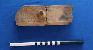 Mystery artifact recovered from IHAP 2014 excavations